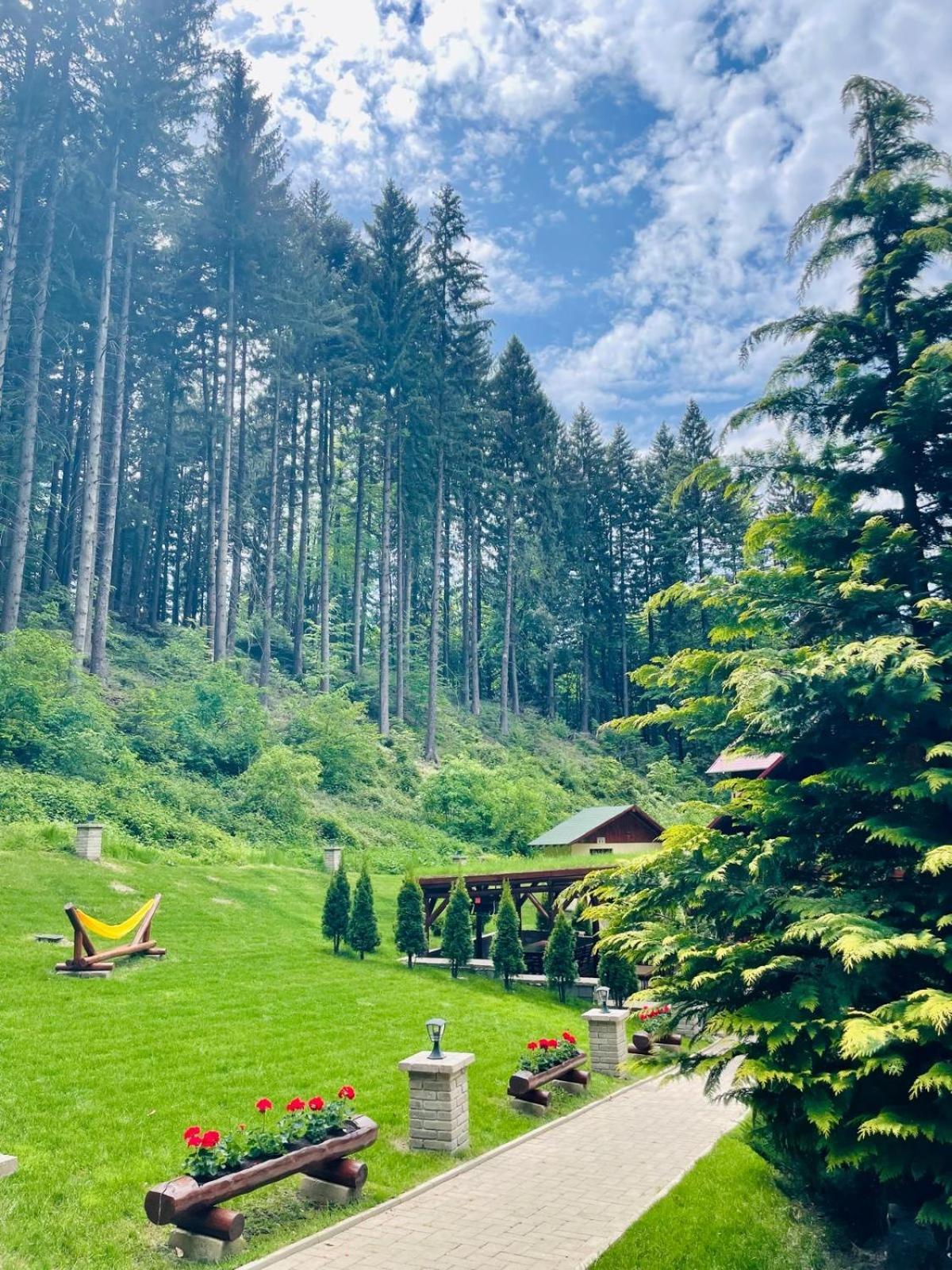 Boutique Hotel Casa Emil Poiana Brasov Ngoại thất bức ảnh